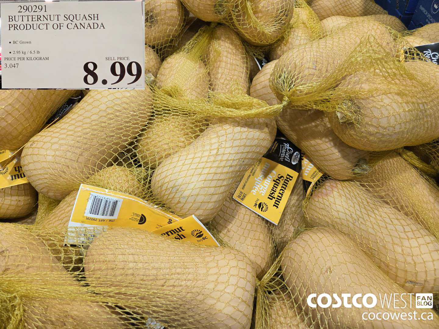 290291 BUTTERNUT SQUASH PRODUCT OF CANADA $8.99