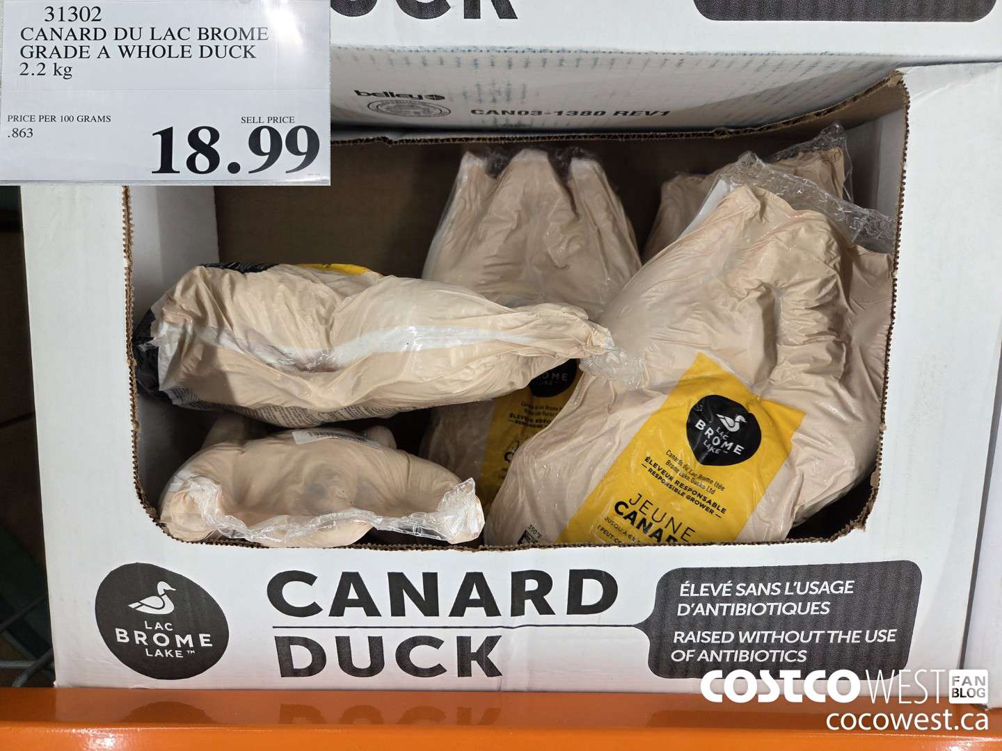 31302 CANARD DU LAC BROME GRADE A WHOLE DUCK 2.2 kg $18.99