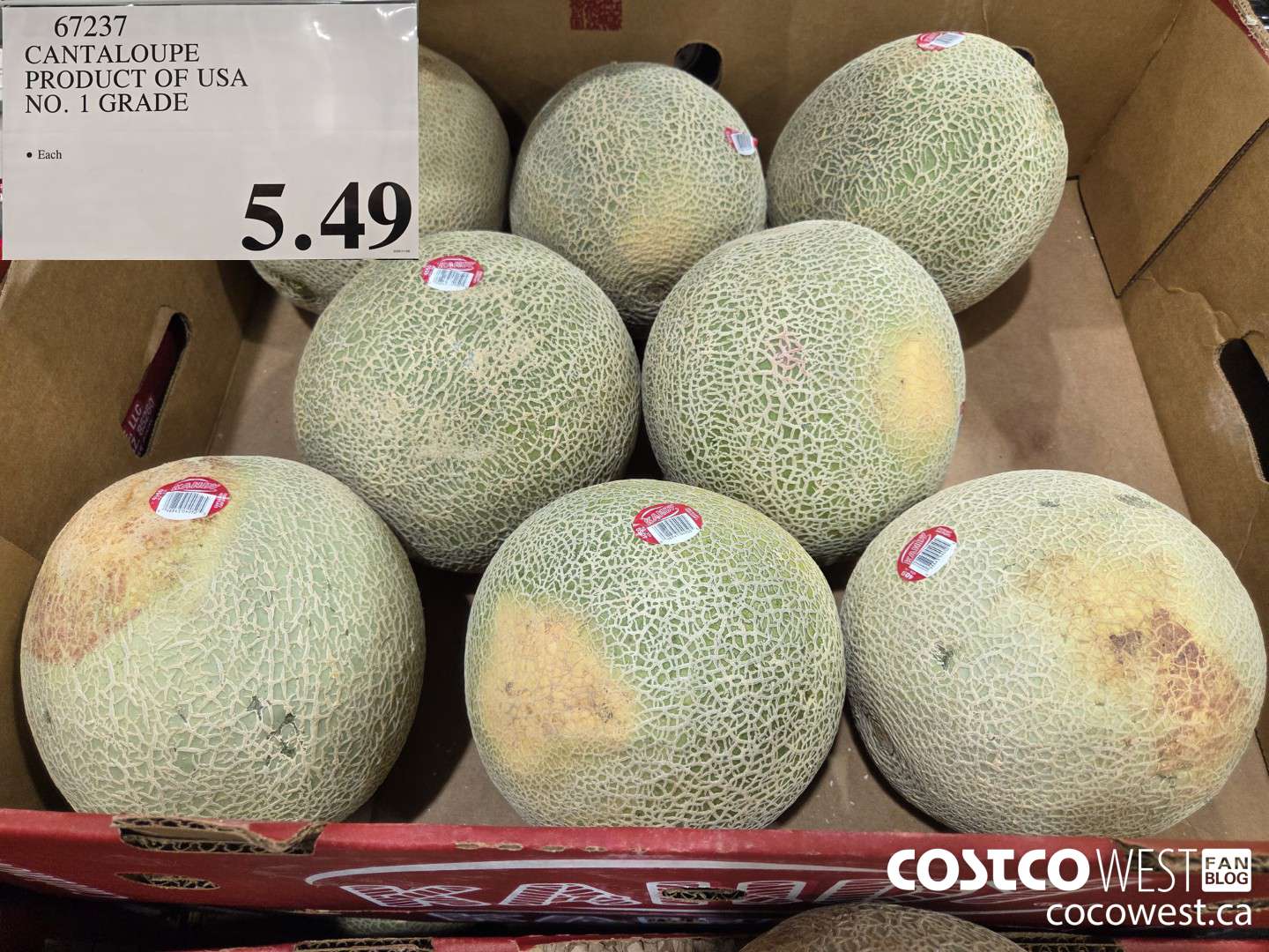 67237 CANTALOUPE PRODUCT OF USA NO. 1 GRADE $5.49