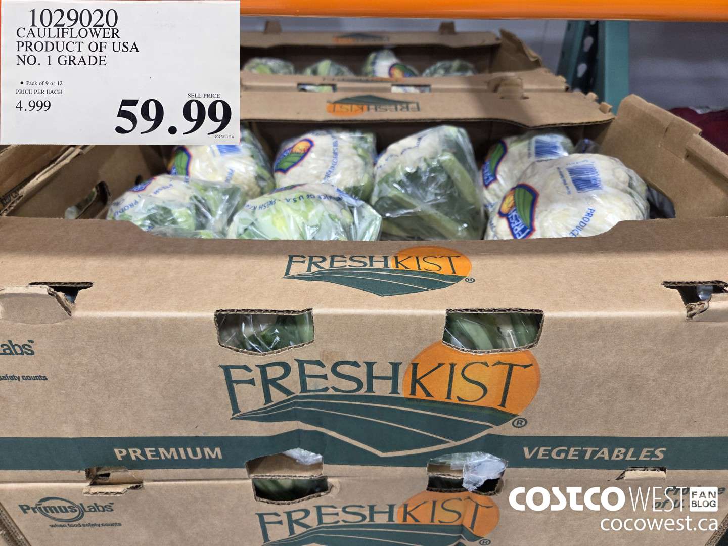 1029020 CAULIFLOWER PRODUCT OF USA NO. 1 GRADE $59.99