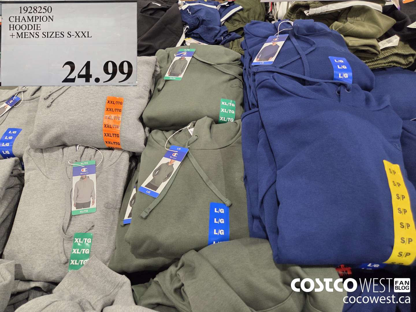 1928250 CHAMPION HOODIE MENS SIZES S-XXL $24.99