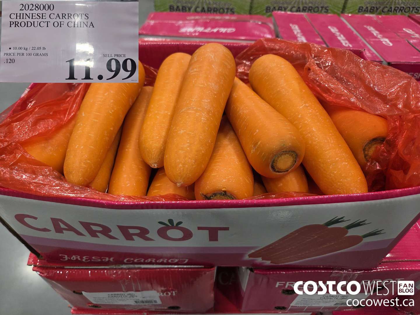 2028000 CHINESE CARROTS PRODUCT OF CHINA $11.99