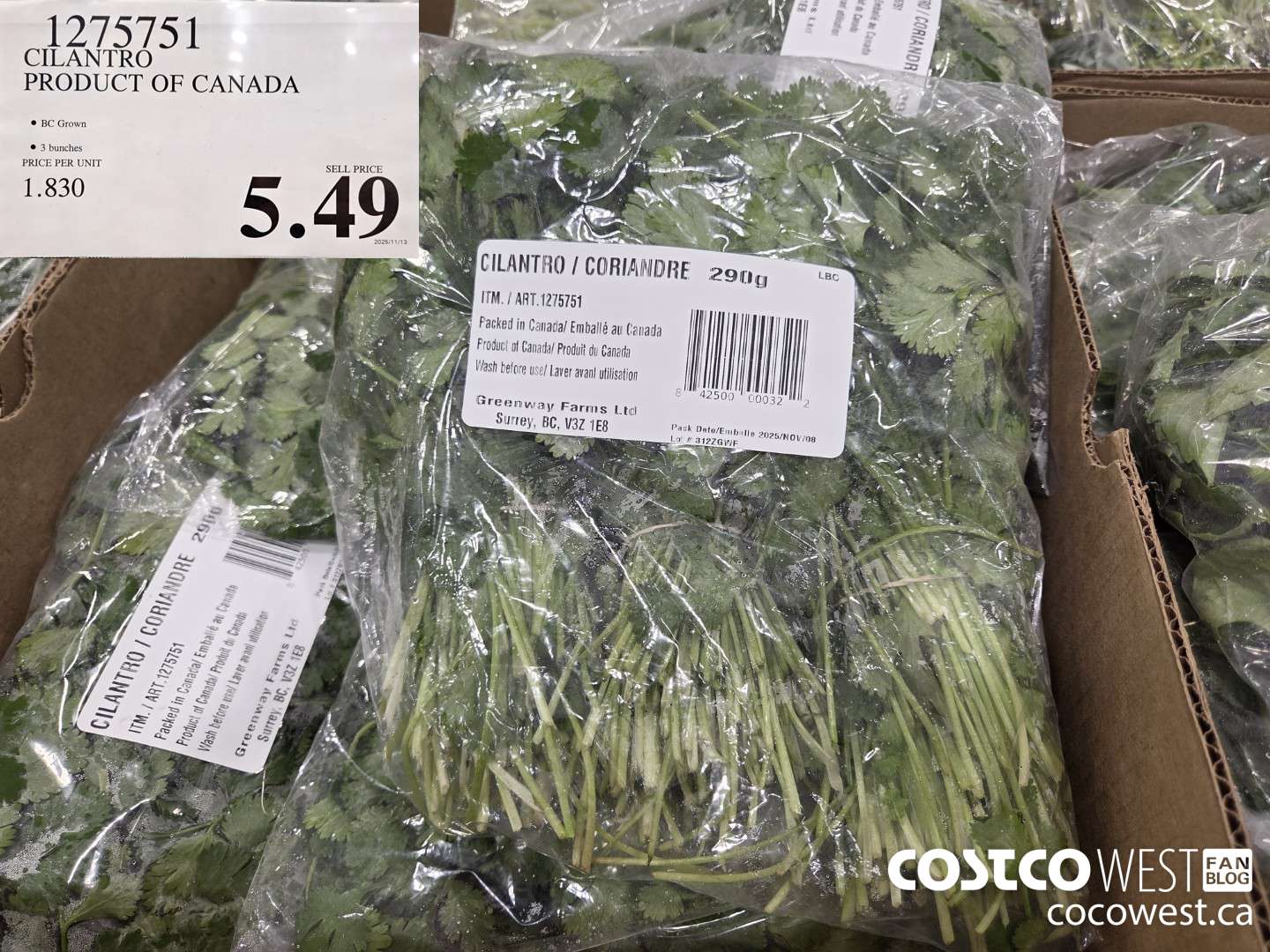 1275751 CILANTRO PRODUCT OF CANADA $5.49