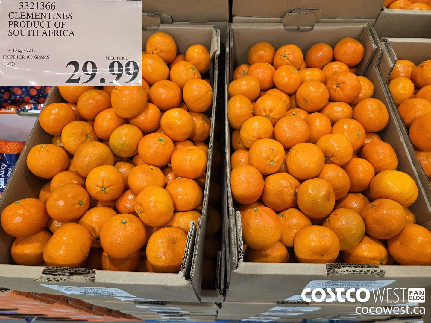 3321366 CLEMENTINES PRODUCT OF SOUTH AFRICA $29.99