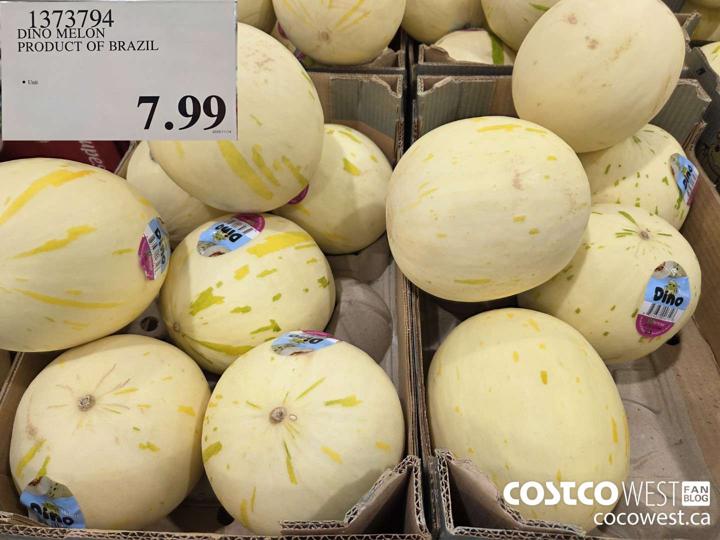 1373794 DINO MELON PRODUCT OF BRAZIL $7.99