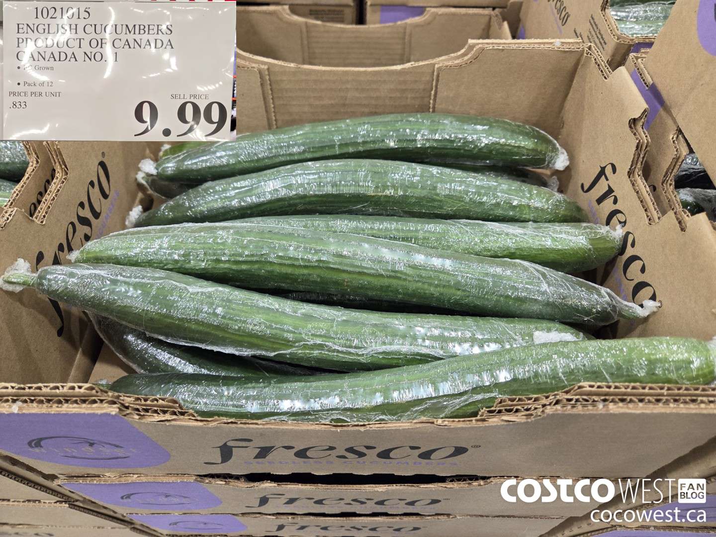 1021515 ENGLISH CUCUMBERS PRODUCT OF CANADA CANADA NO. 1 $9.99