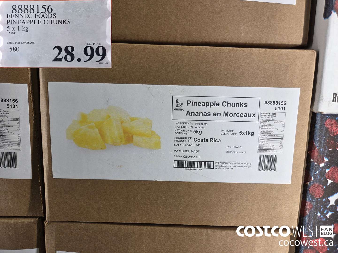 8888156 FENNEC FOODS PINEAPPLE CHUNKS 5 x 1 kg $28.99