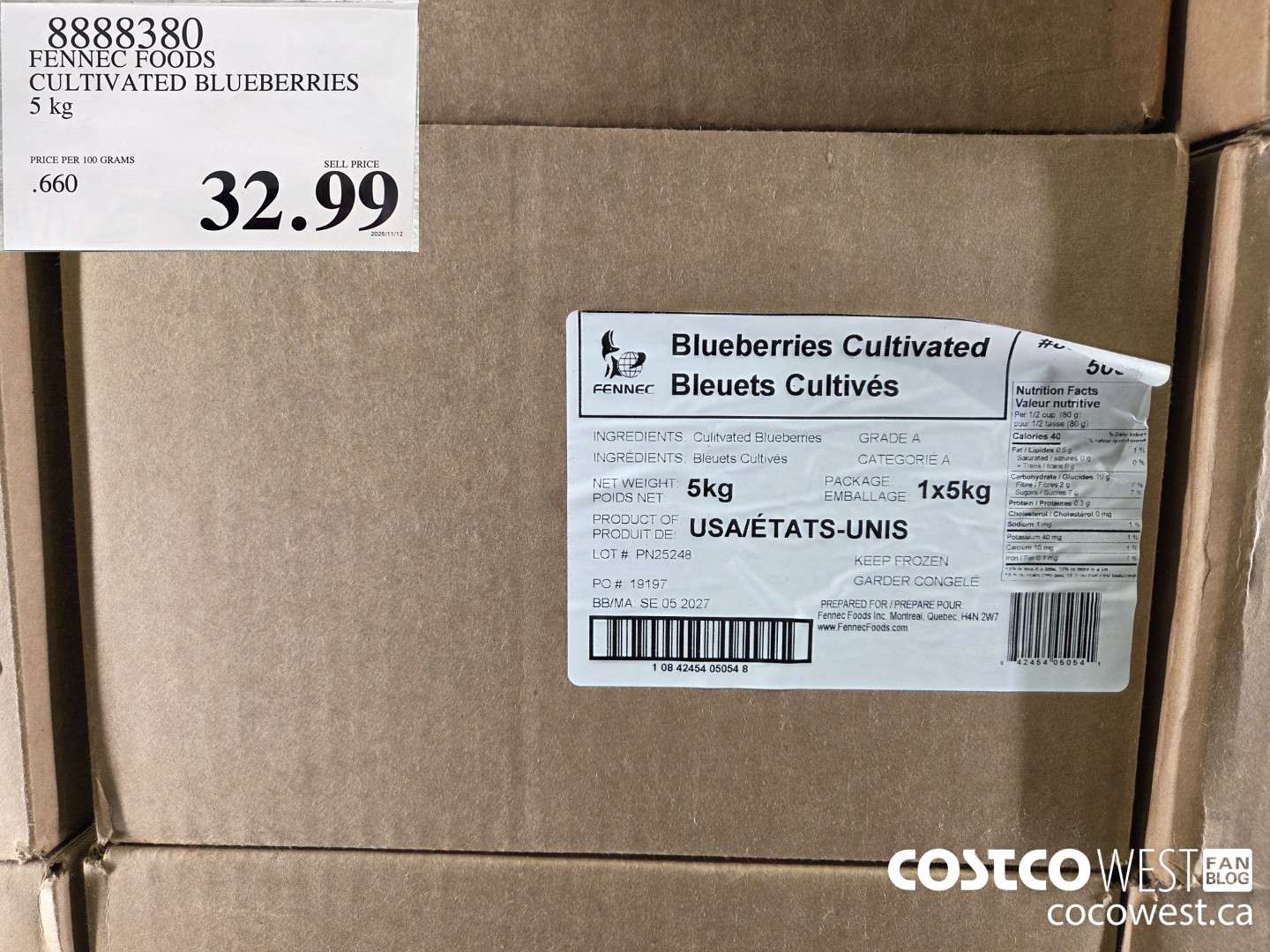 8888380 FENNEC FOO CULTIVATED BLUEBERRIES 5 kg $32.99