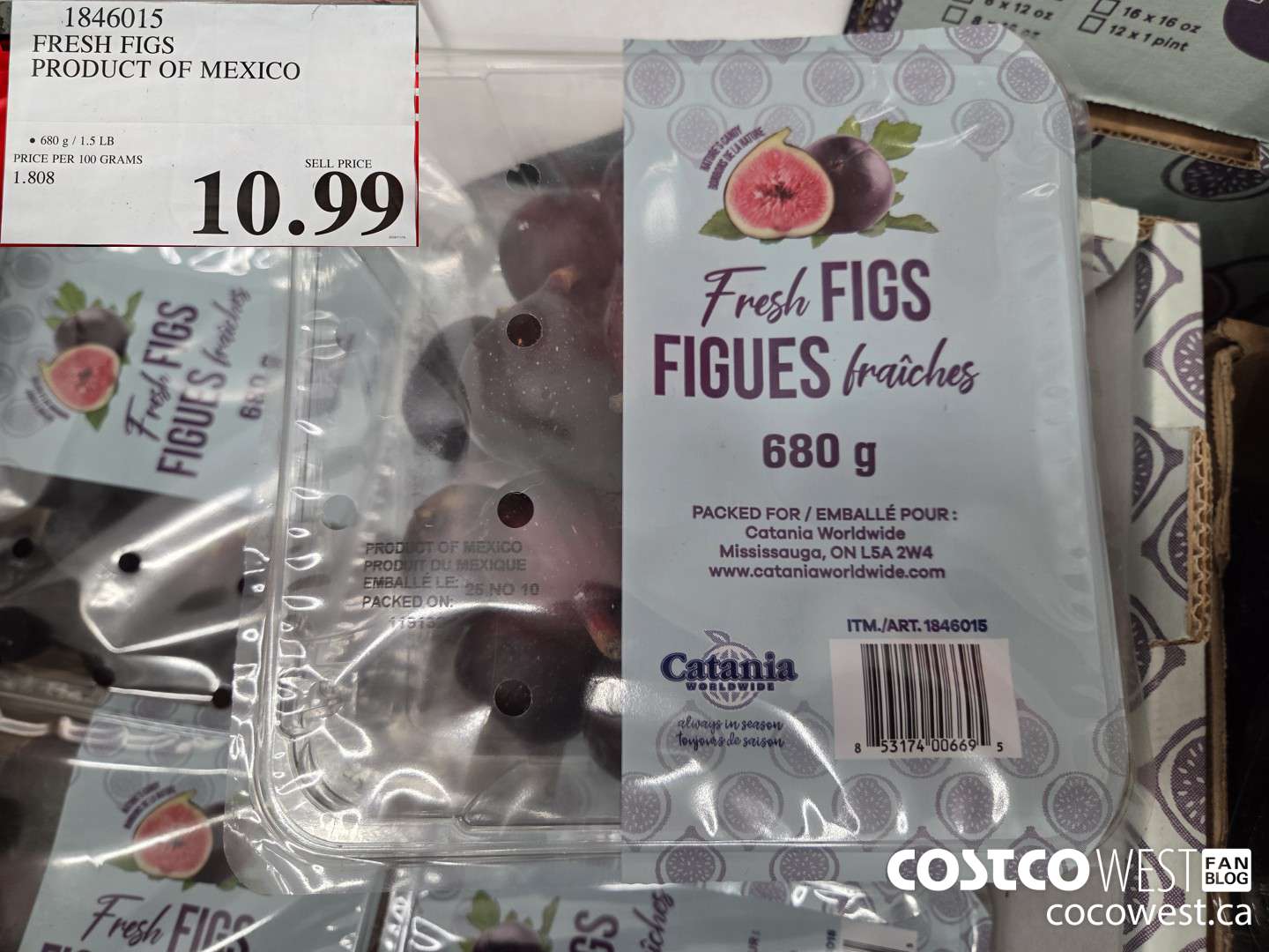 1846015 FRESH FIGS PRODUCT OF MEXICO $10.99