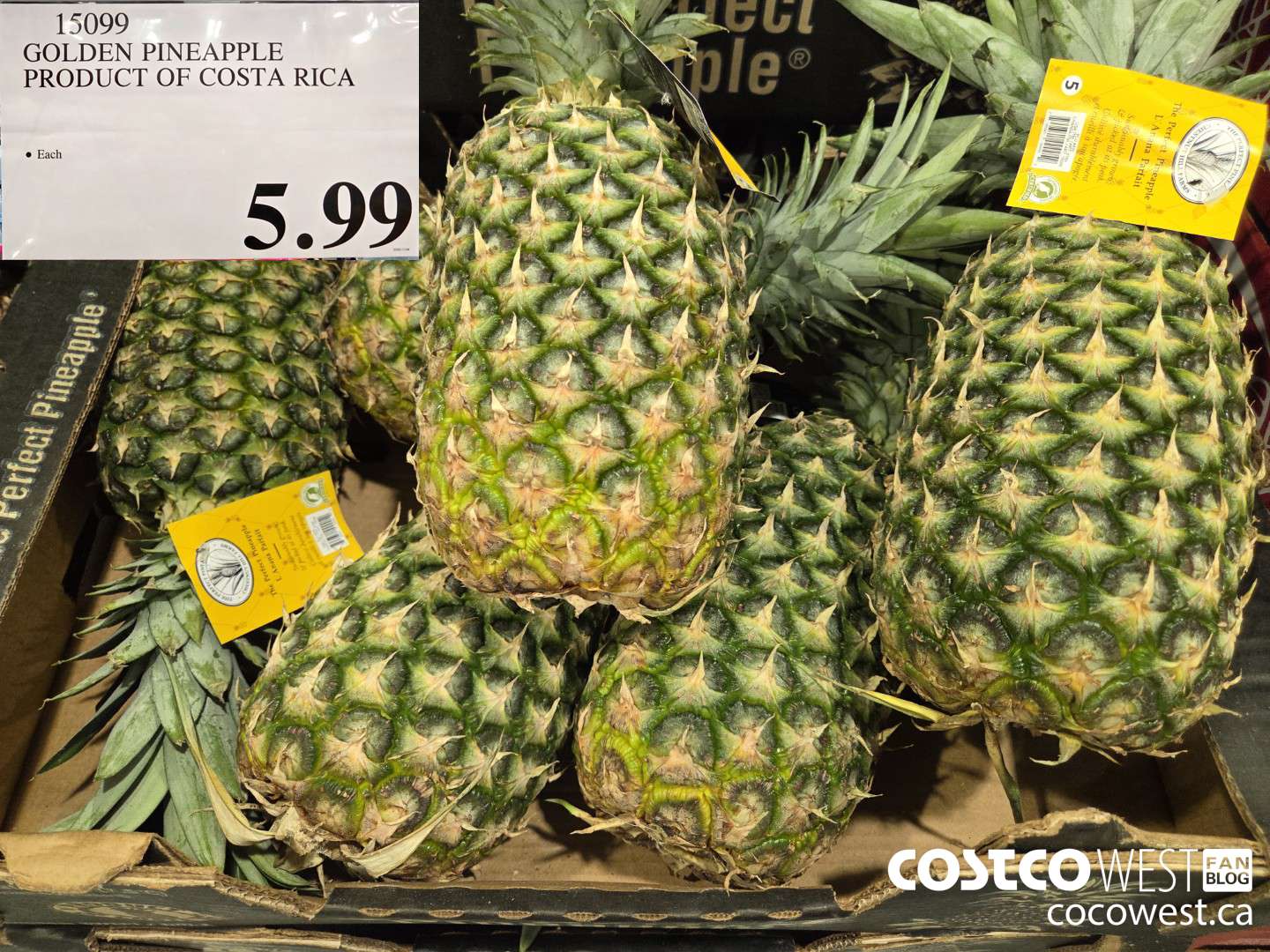 15099 GOLDEN PINEAPPLE PRODUCT OF COSTA RICA $5.99