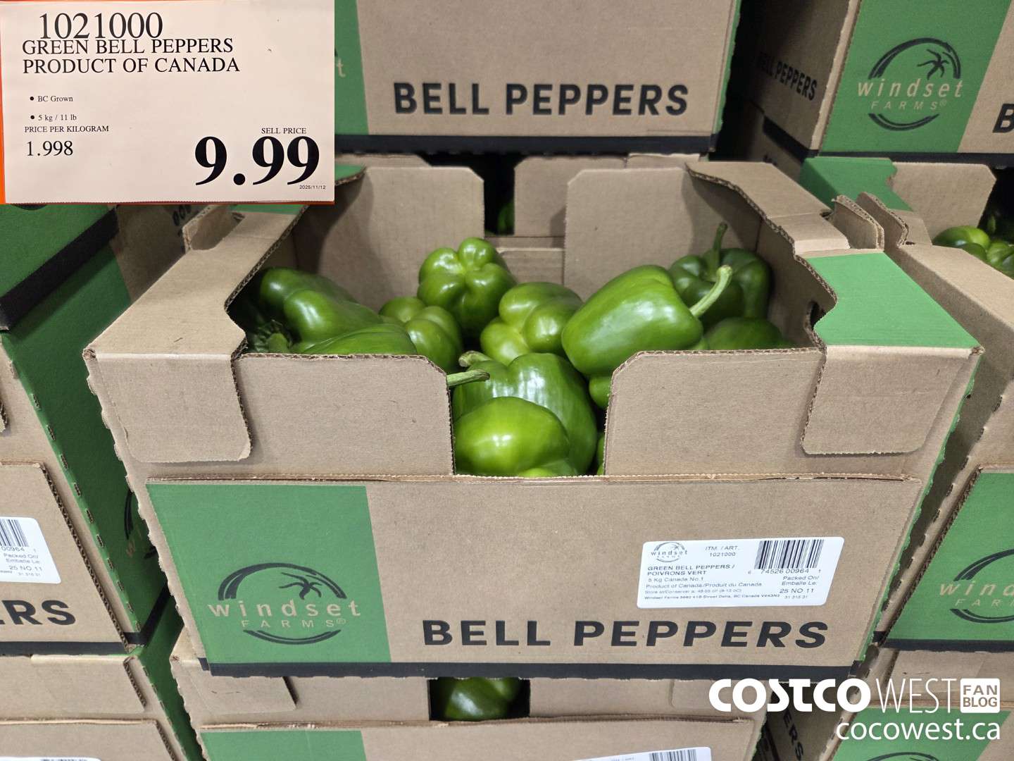 1021000 GREEN BELL PEPPERS PRODUCT OF CANADA $9.99