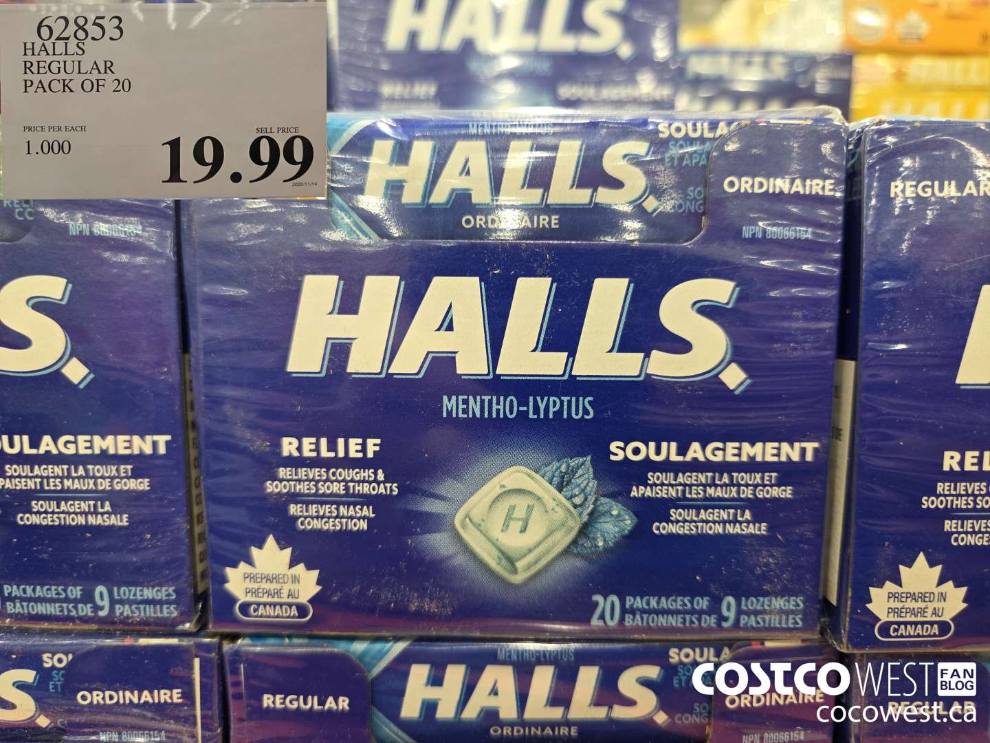 62853 HALS REGULAR PACK OF 20 $19.99