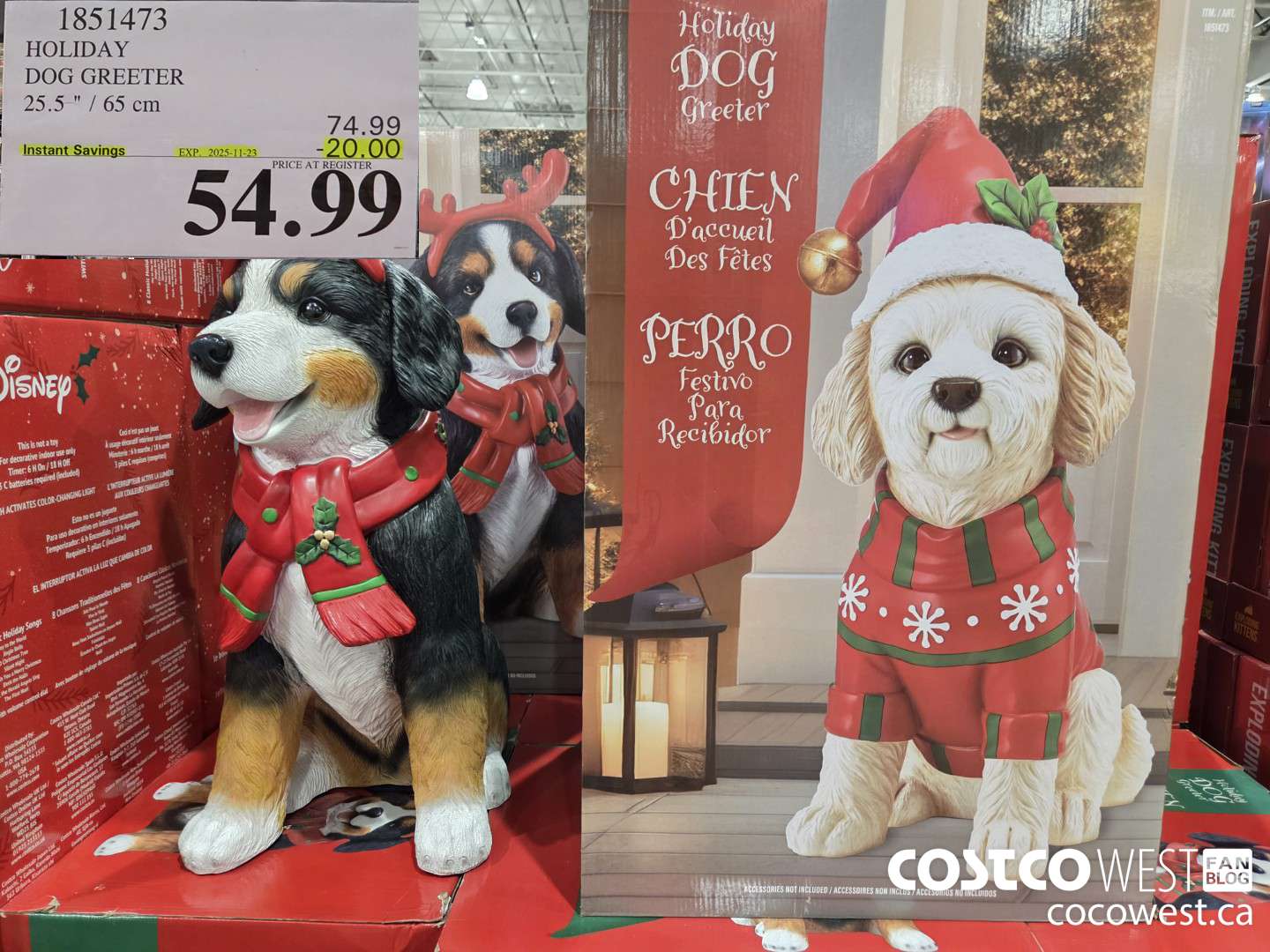 1851473 HOLIDAY DOG GREETER 25.5 