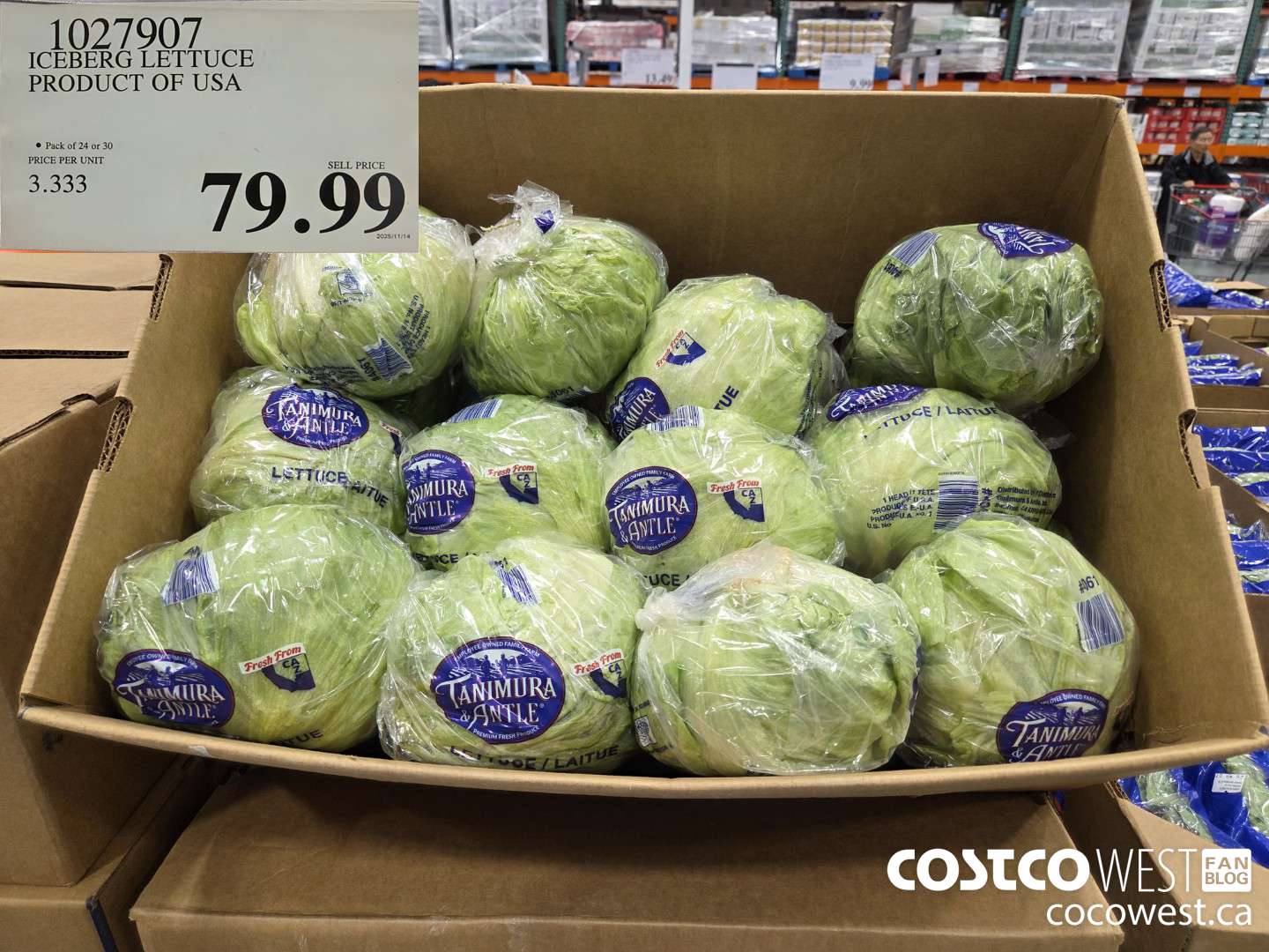 1027907 ICEBERG LETTUCE PRODUCT OF USA $79.99