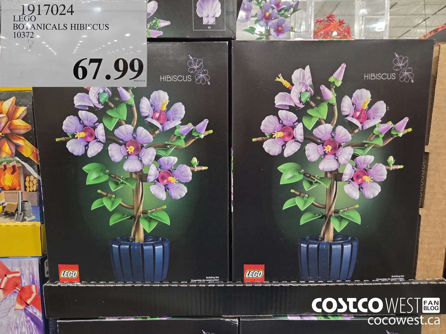 1917024 LEGO BOTANICAL HIBISCUS $67.99