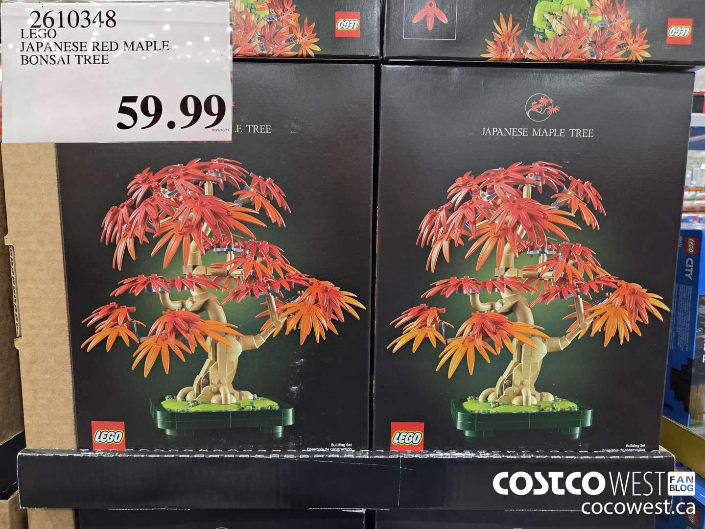 2610348 LEGO JAPANESE RED MAPLE BONSAI TREE $59.99