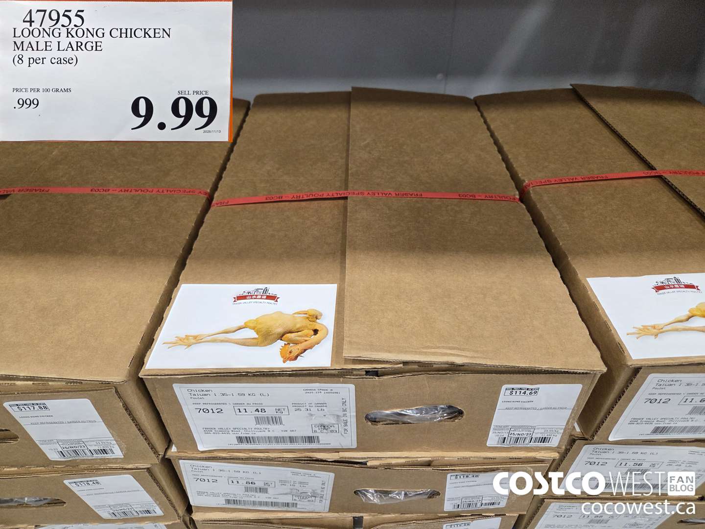 47955 LOONG KONG CHICKEN MALE LARGE (8 per case) $9.99