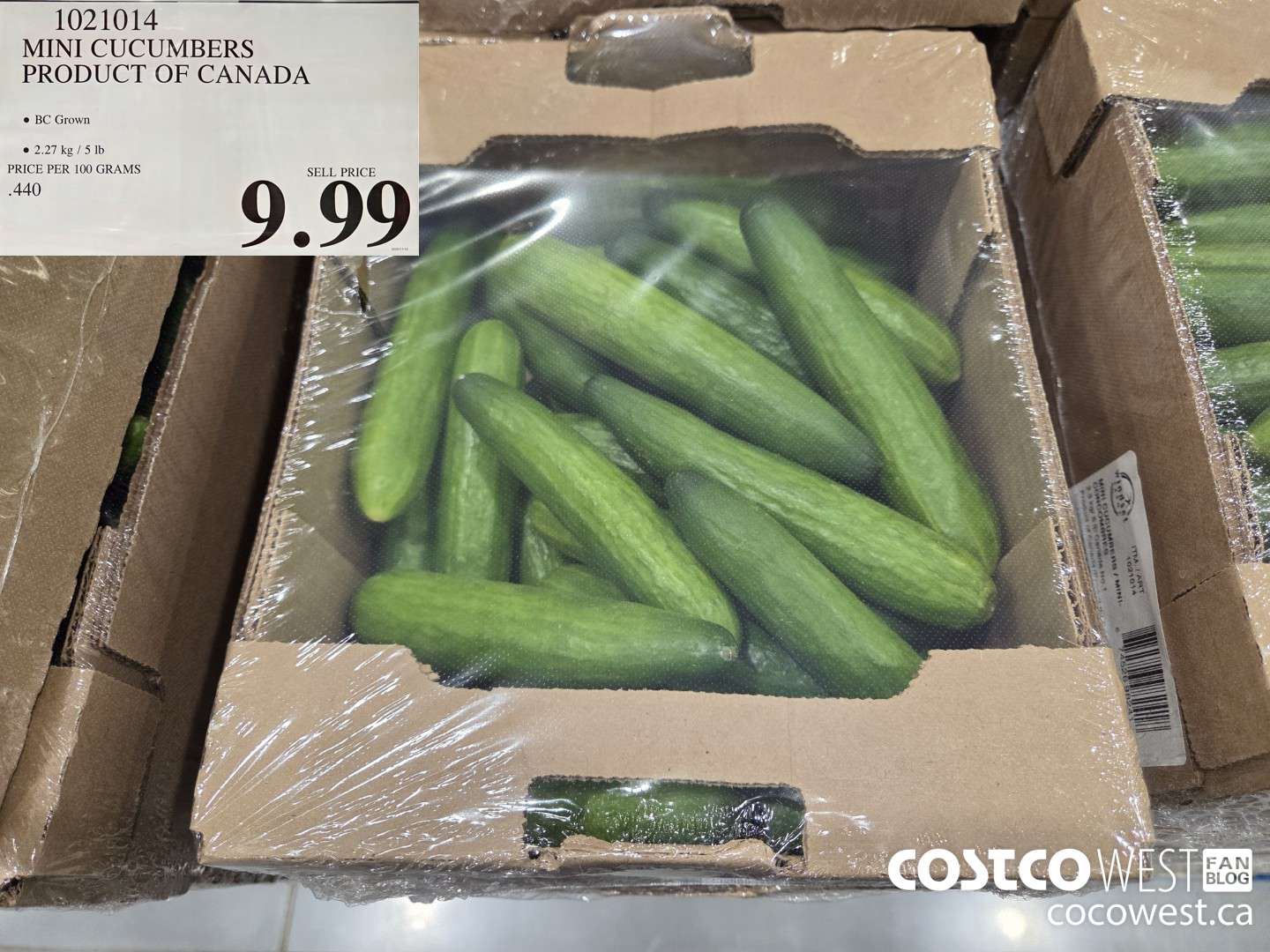 1021014 MINI CUCUMBERS PRODUCT OF CANADA $9.99