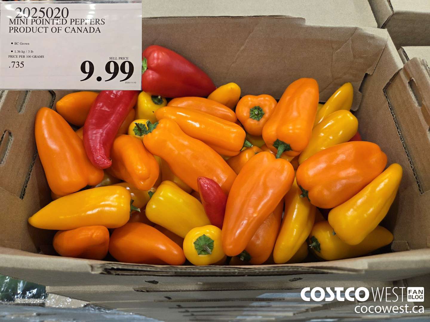 2025020 MINI POINTED PEPPERS PRODUCT OF CANADA $9.99