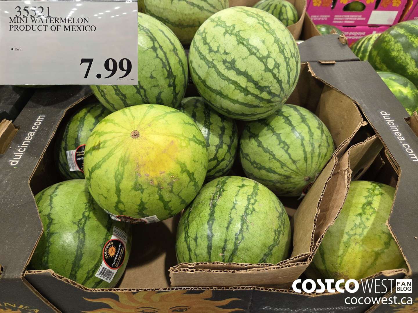 35521 MINI WATERMELON PRODUCT OF MEXICO $7.99