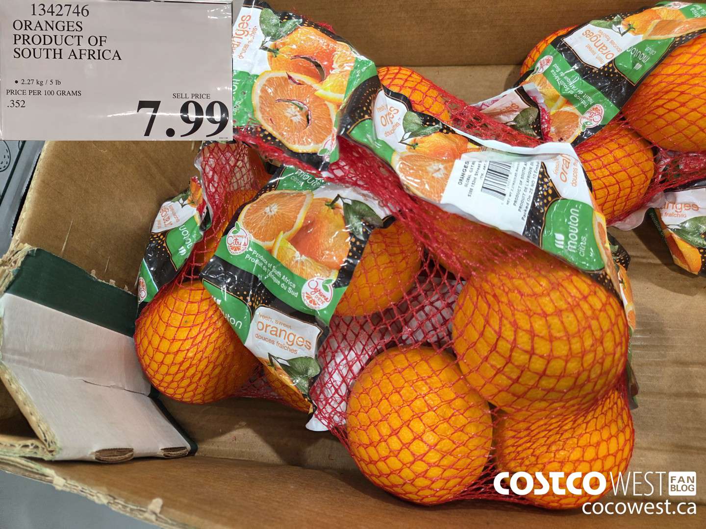 1342746 ORANGES PRODUCT OF SOUTH AFRICA $7.99