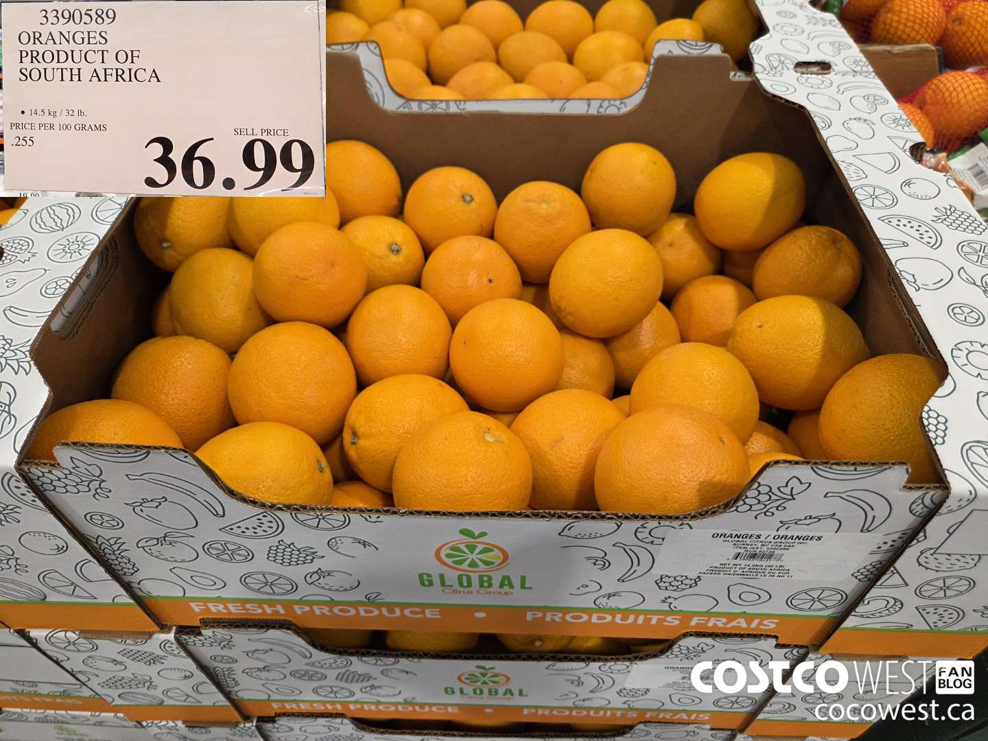 3390589 ORANGES PRODUCT OF SOUTH AFRICA $36.99