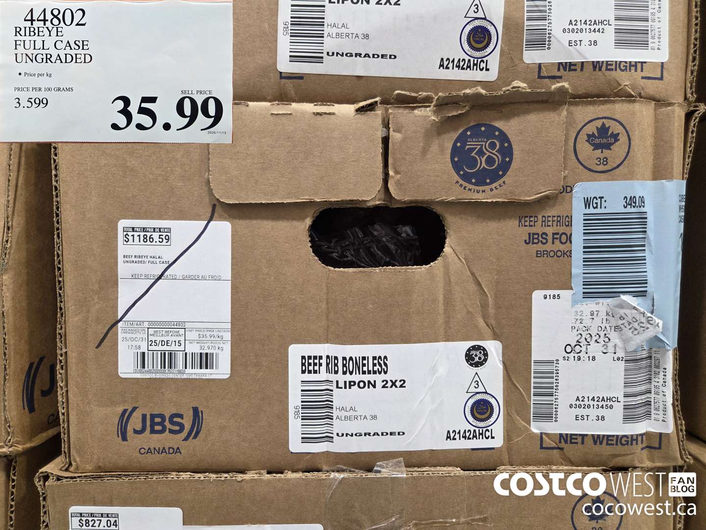 44802 RIBEYE FULL CASE UNGRADED $35.99