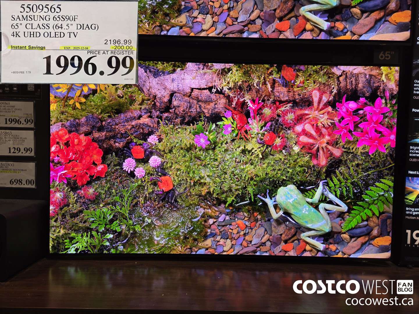 5509565 SAMSUNG 65S90F 65