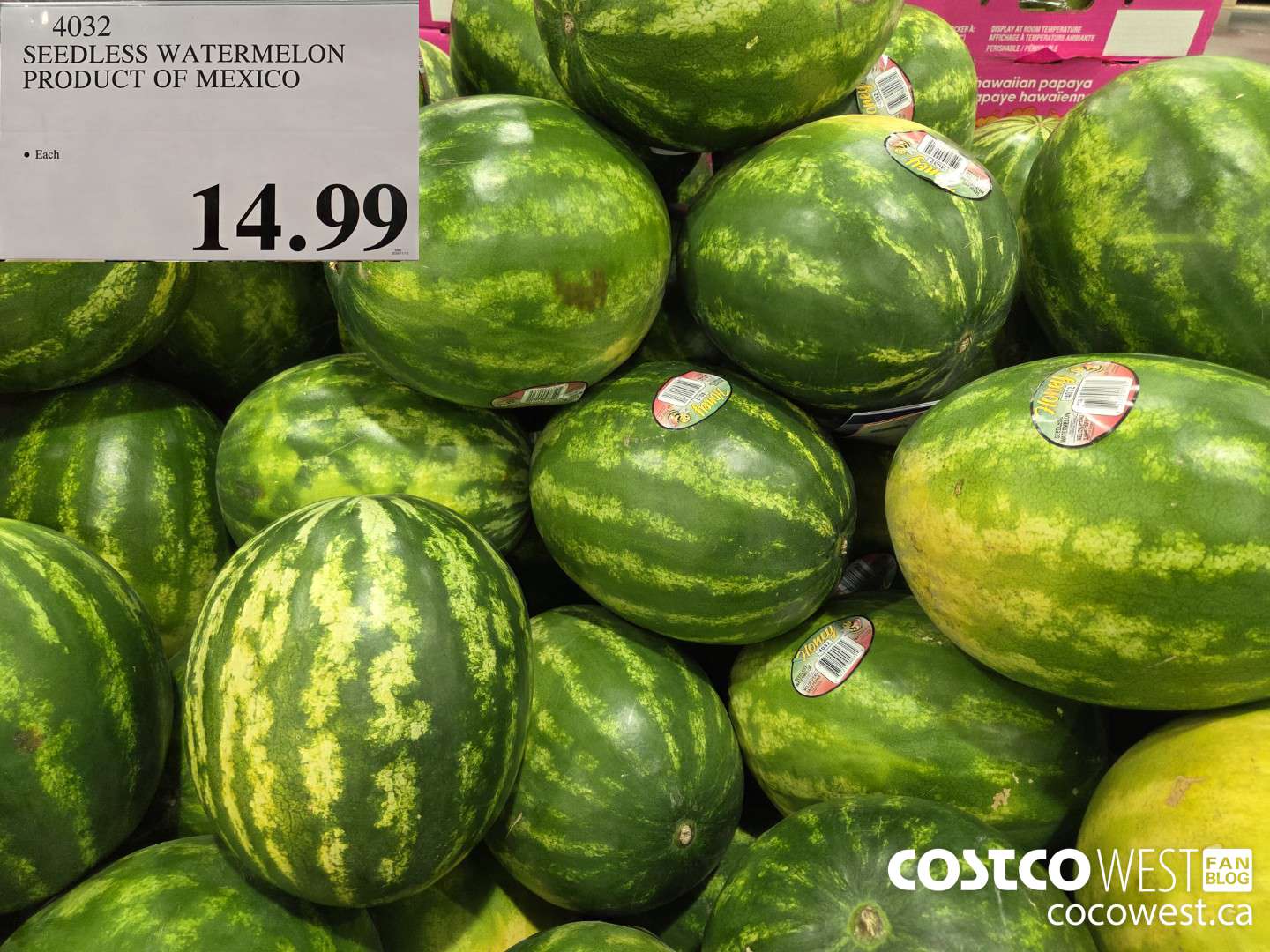 4032 SEEDLESS WATERMELON PRODUCT OF MEXICO $14.99