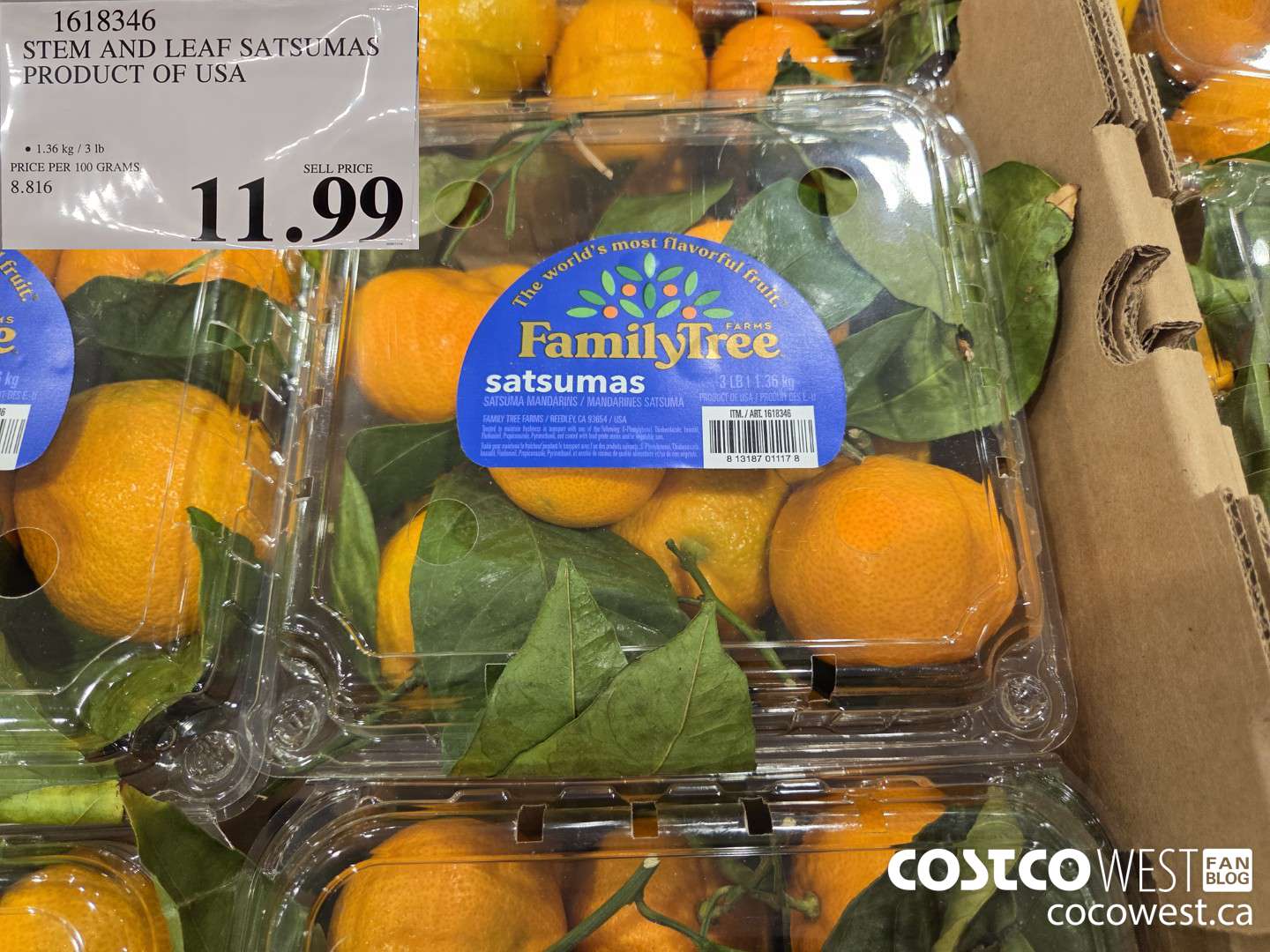 1618346 STEM AND LEAF SATSUMAS PRODUCT OF USA $11.99