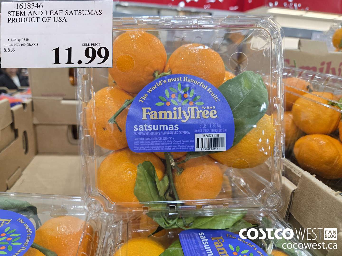 1618346 STEM AND LEAF SATSUMAS PRODUCT OF USA $11.99