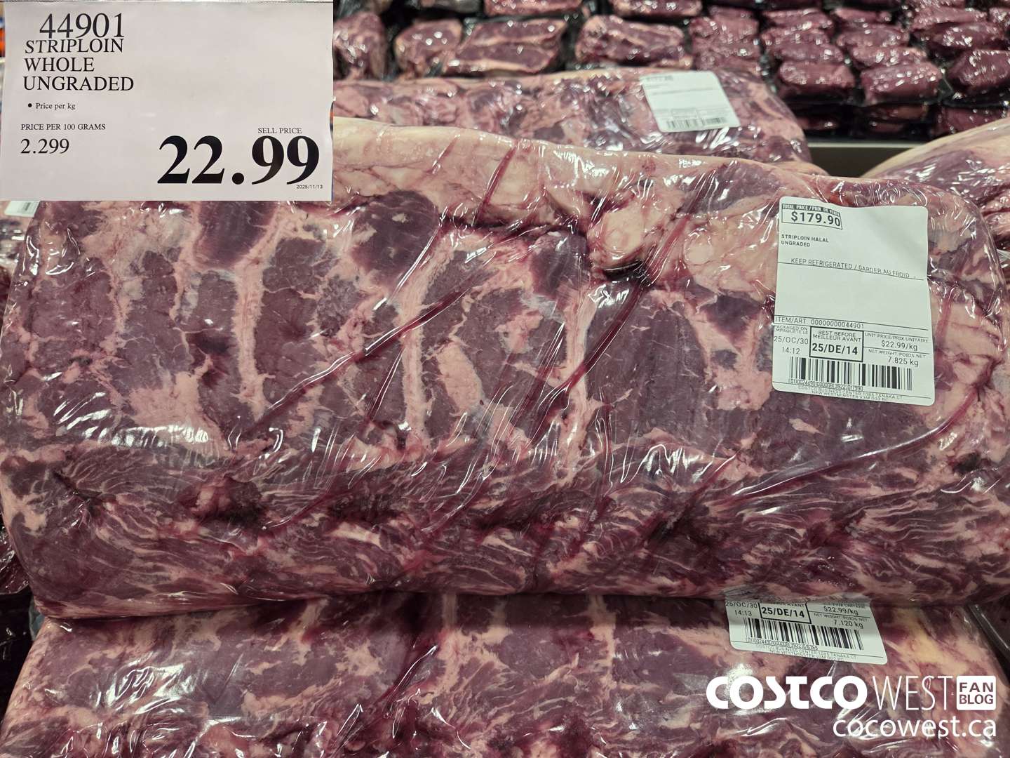 44901 STRIPLOIN WHOLE UNGRADED $22.99