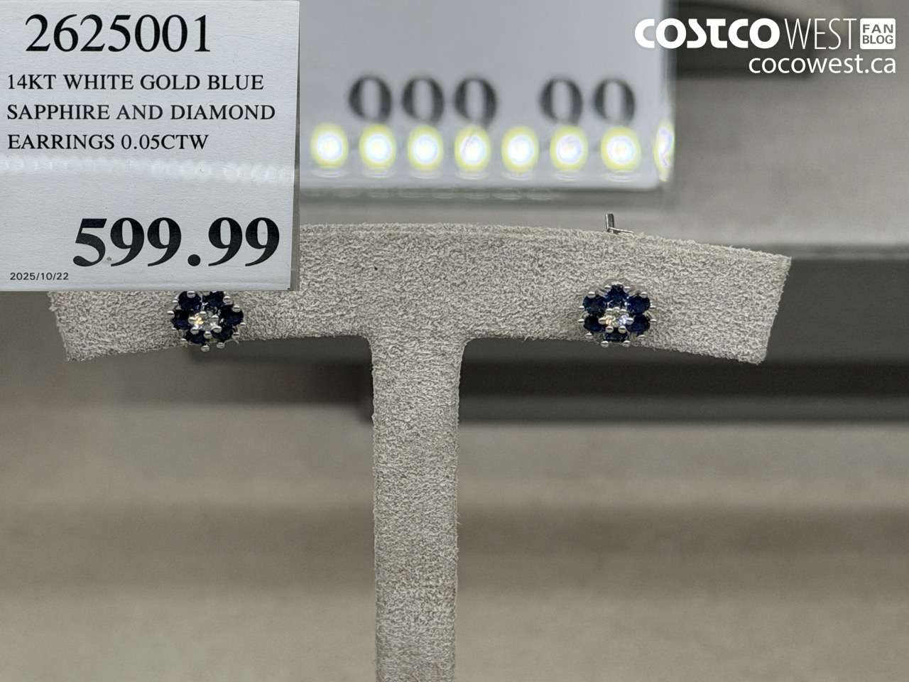 2625001 14KT WHITE GOLD BLUE SAPPHIRE AND DIAMOND EARRINGS 0.05CTW $599.99