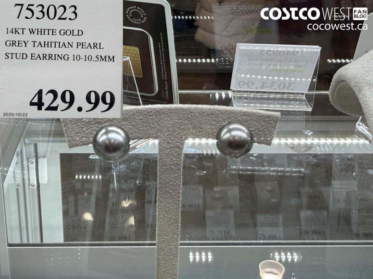 753023 14KT WHITE GOLD GREY TAHITIAN PEARL STUD EARRING 10-10.5MM $429.99