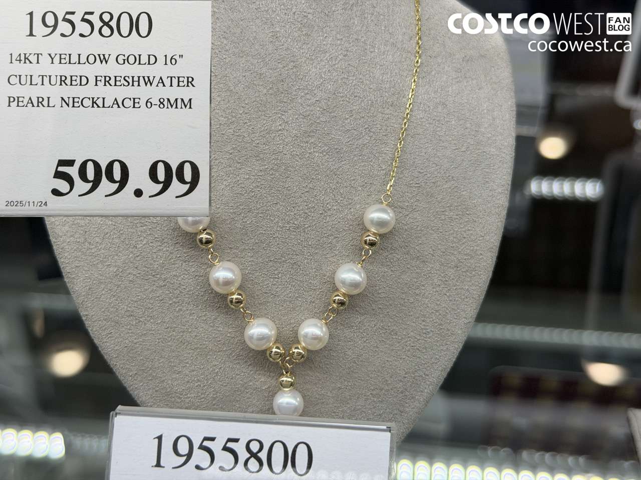 1955800 14KT YELLOW GOLD 16