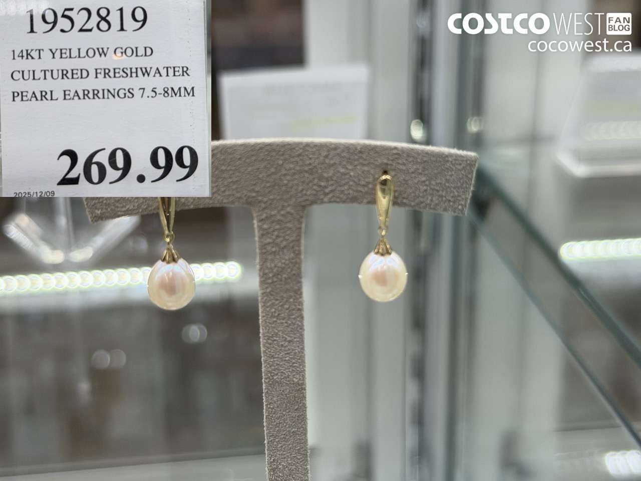 195219 14KT YELLOW GOLD CULTURED FRESHWATER PEARL EARRINGS 7.5-8MM $269.99