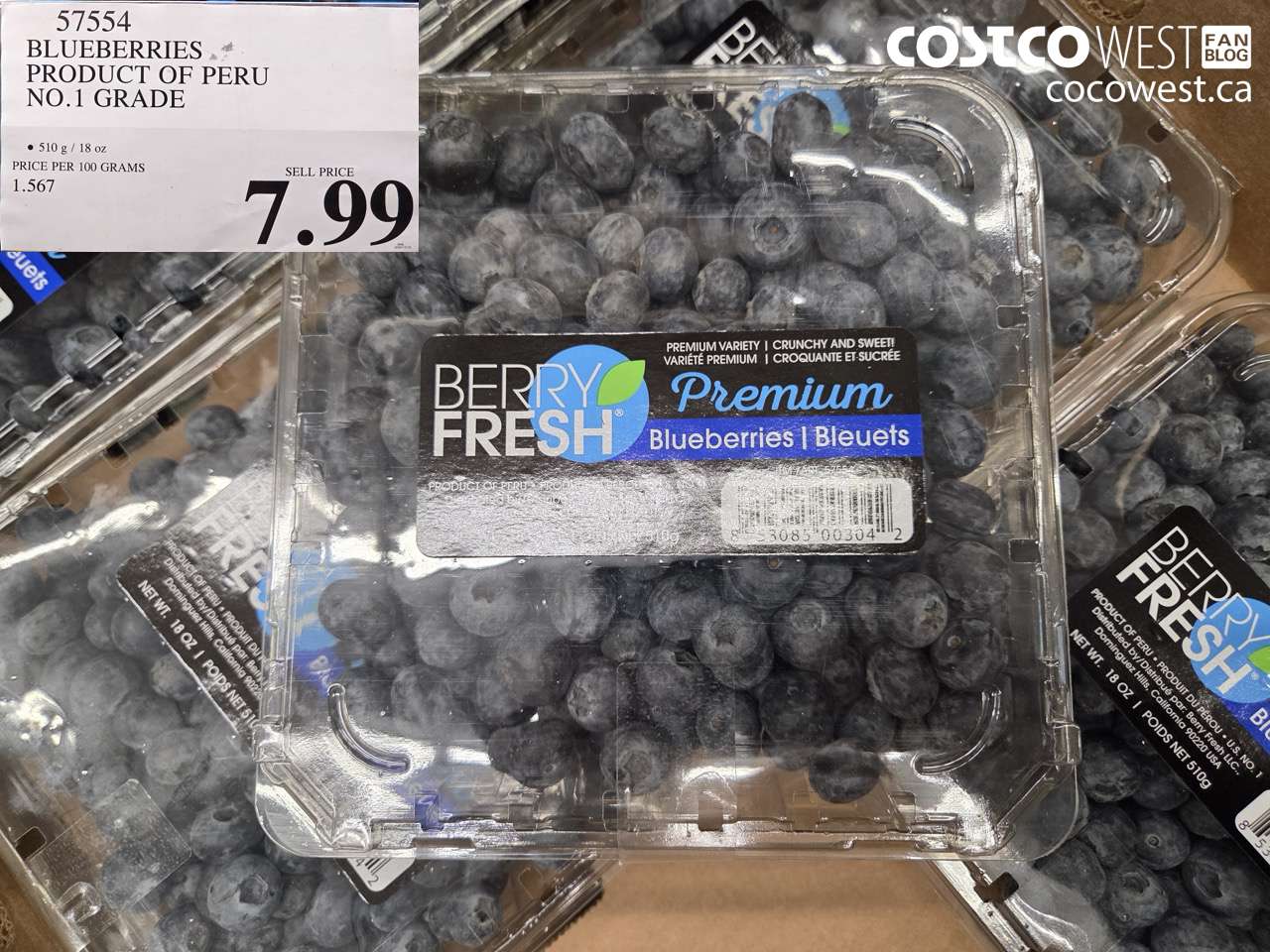 57554 BLUEBERRIES PRODUCT OF PERU NO.1 GRADE $7.99