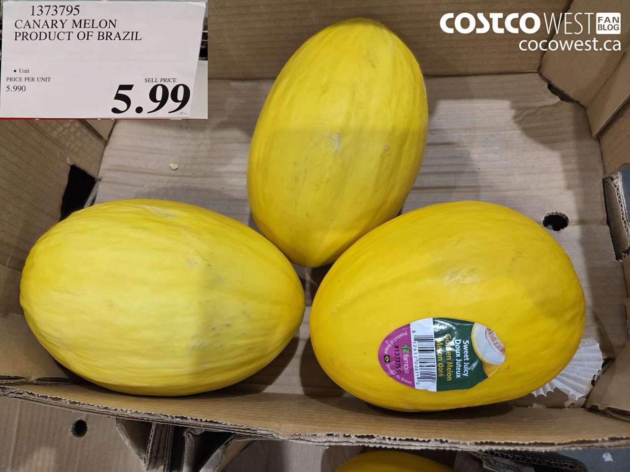 1373795 CANARY MELON PRODUCT OF BRAZIL $5.99