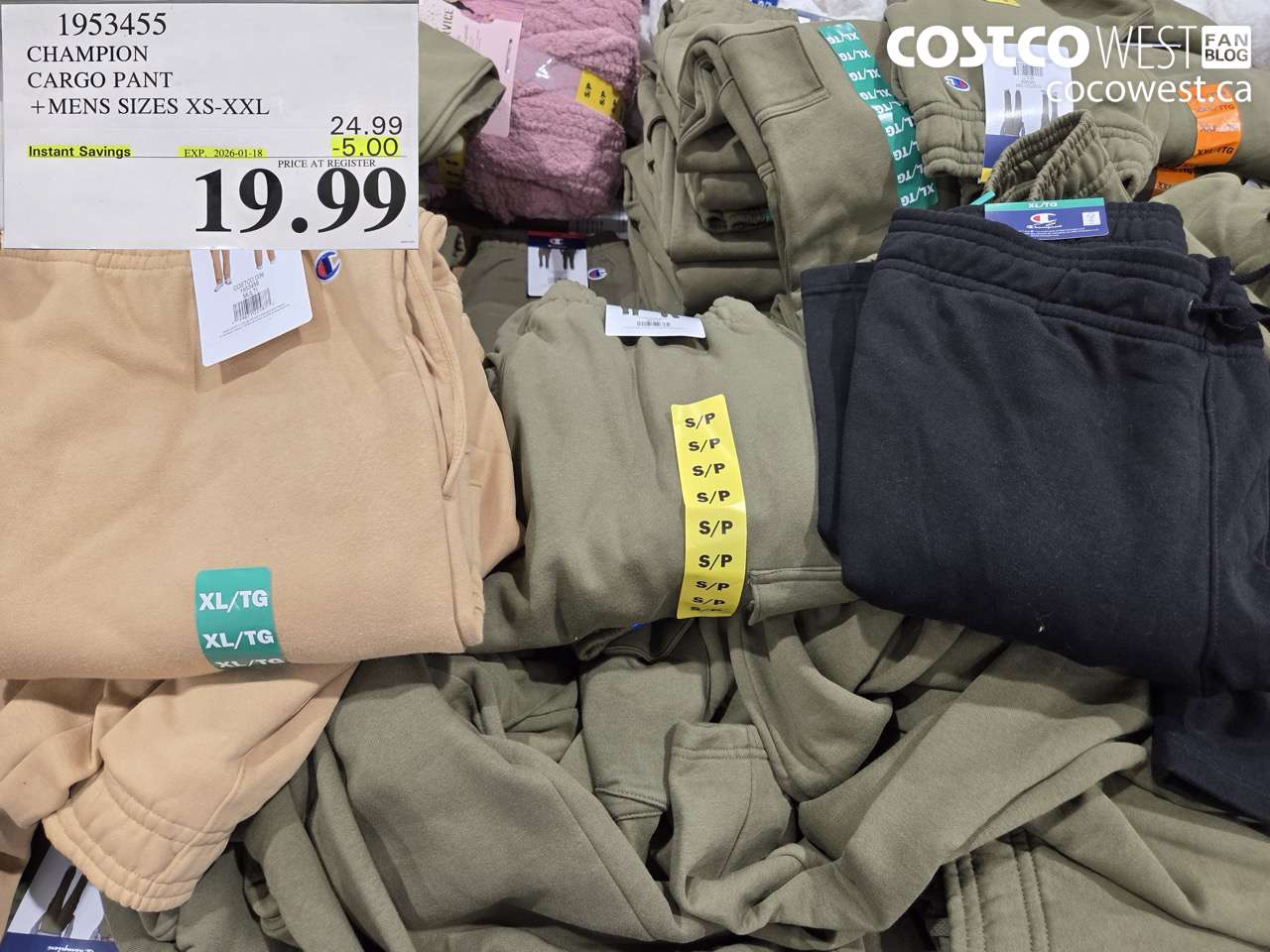 1953455 CHAMPION CARGO PANT MENS SIZES XS-XXL ($5.00 INSTANT SAVINGS EXPIRES ON 2026-01-18) $19.99