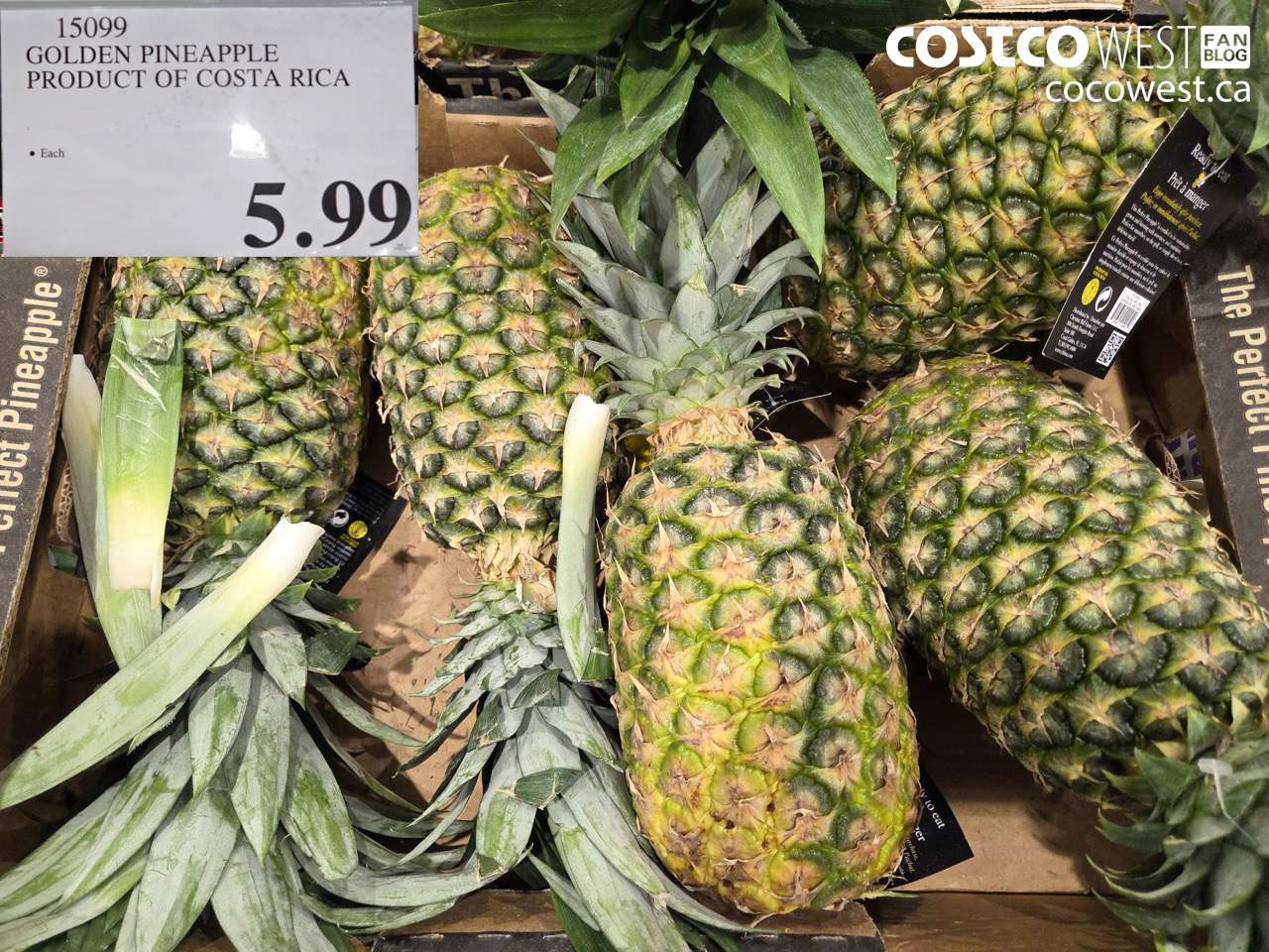 15099 GOLDEN PINEAPPLE PRODUCT OF COSTA RICA $5.99