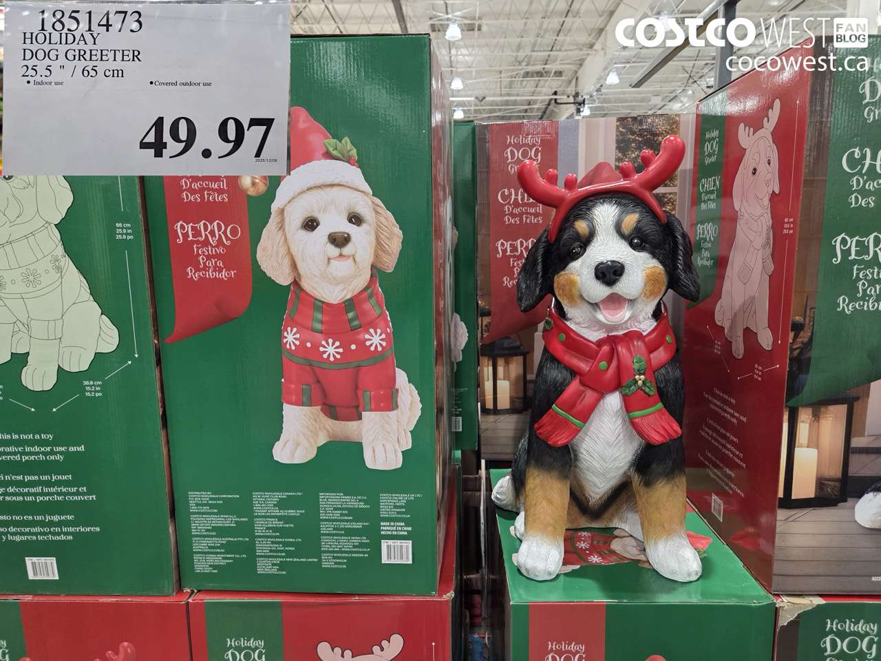 1851473 HOLIDAY DOG GREETER 25.5 