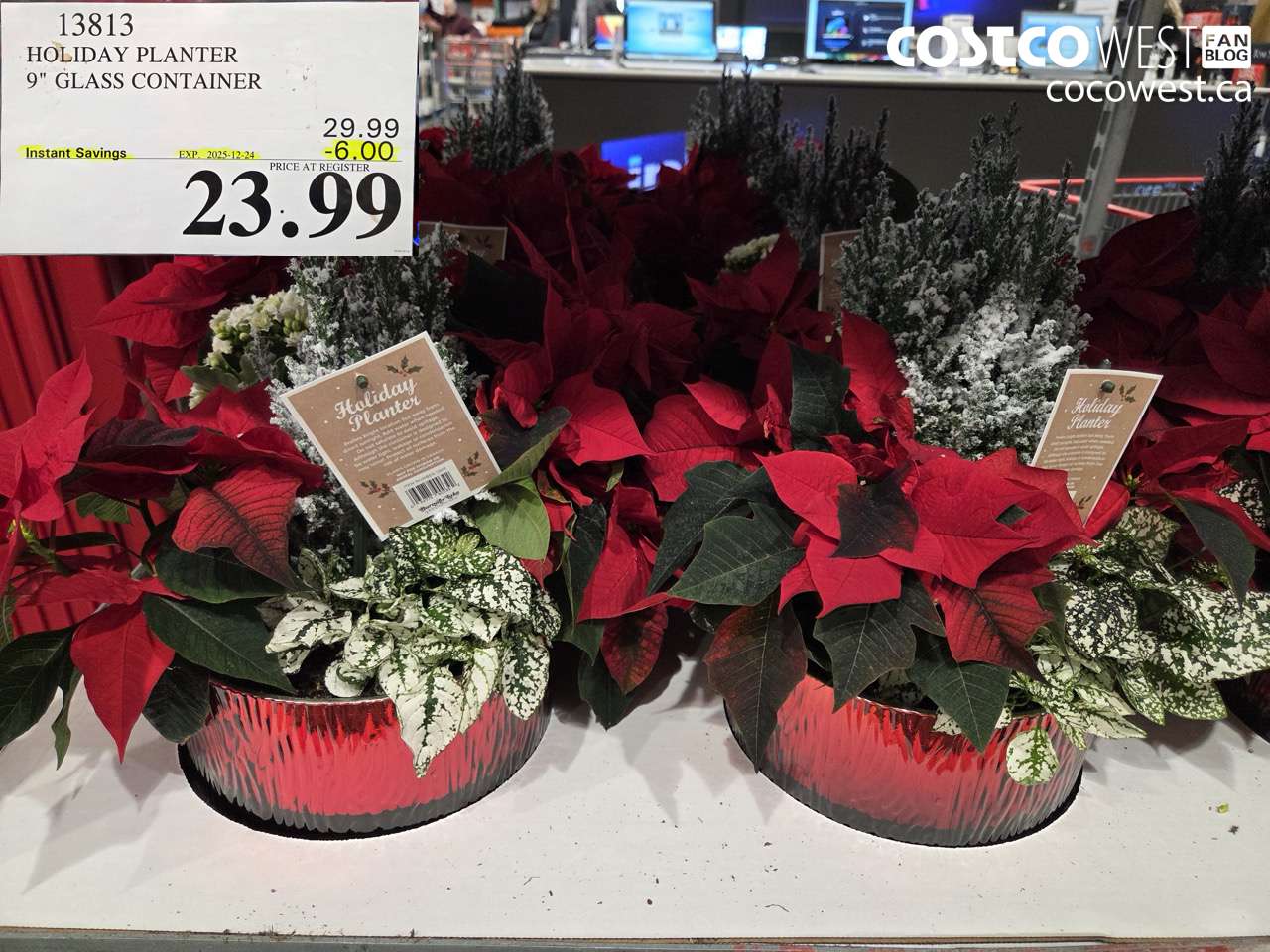 13813 HOLIDAY PLANTER 9