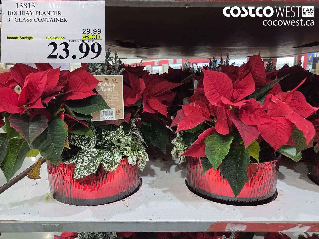 13813 HOLIDAY PLANTER 9