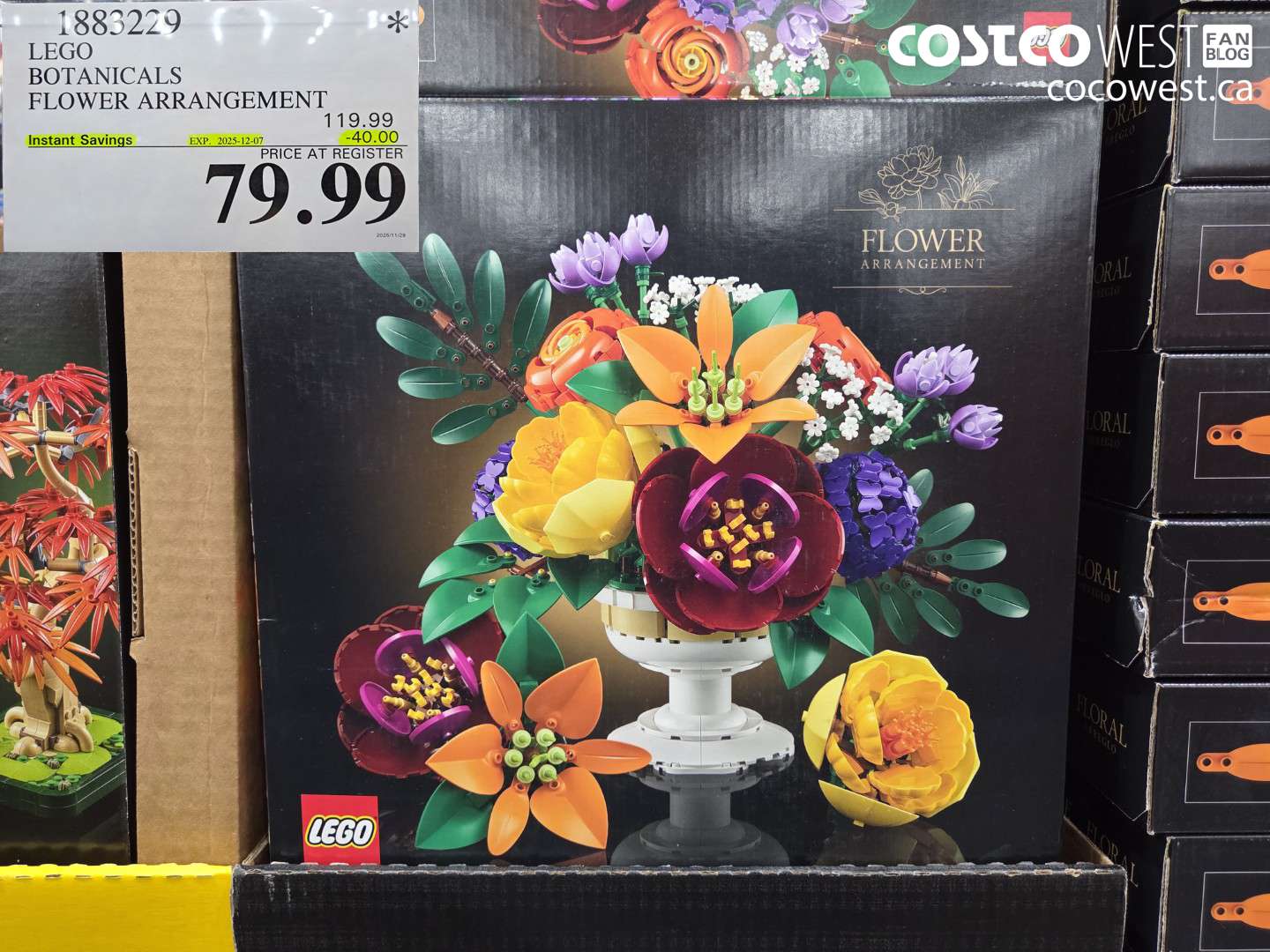 1883229 LEGO BOTANICALS FLOWER ARRANGEMENT ($40.00 INSTANT SAVINGS EXPIRES ON 2025-12-07) $79.99