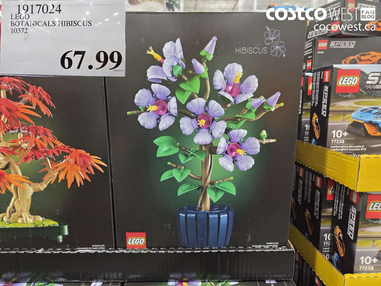 1917024 LEGO BOTANICAL HIBISCUS $67.99
