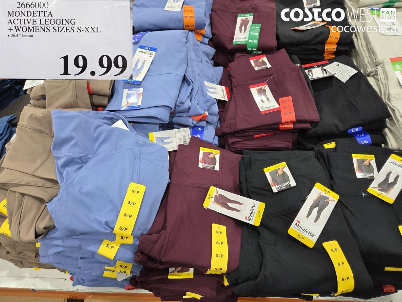 2666000 MONDETTA ACTIVE LEGGING WOMENS SIZES S-XXL $19.99