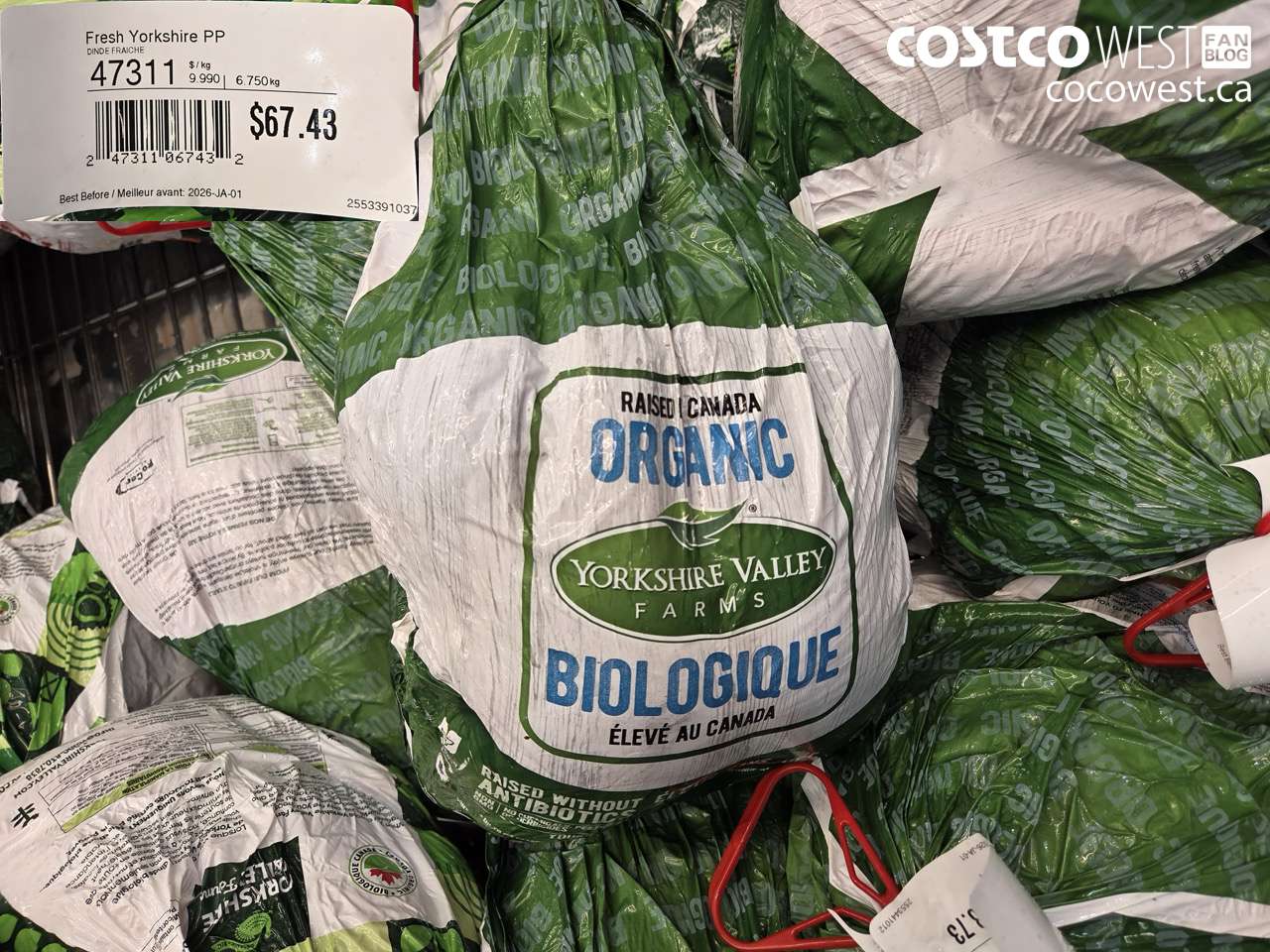 47311 ORGANIC WHOLE TURKEY $9.99