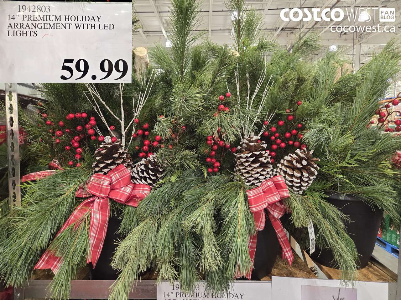 1942803 PREMIUM HOLIDAY 14