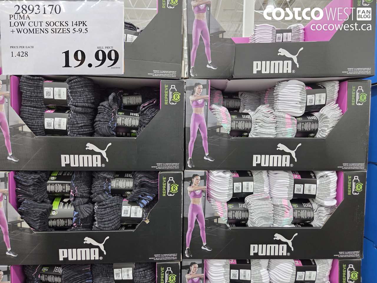 2893170 PUMA LOW CUT SOCKS 14PK WOMENS SIZES 5-9.5 $19.99