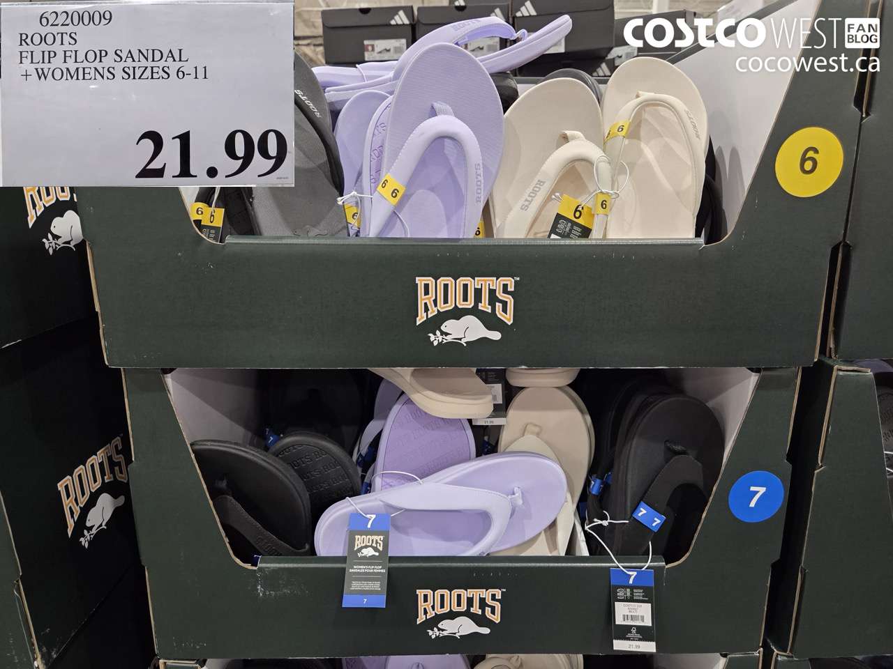 6220009 ROOTS FLIP FLOP SANDAL WOMENS SIZES 6-11 $21.99